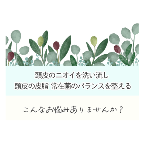 KAMOME さわやかレモンシャンプー 300g