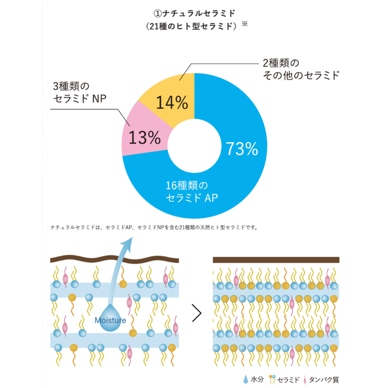 ガルバCMCケアシャンプー 400g（詰替）【送料無料】 | スパニストが