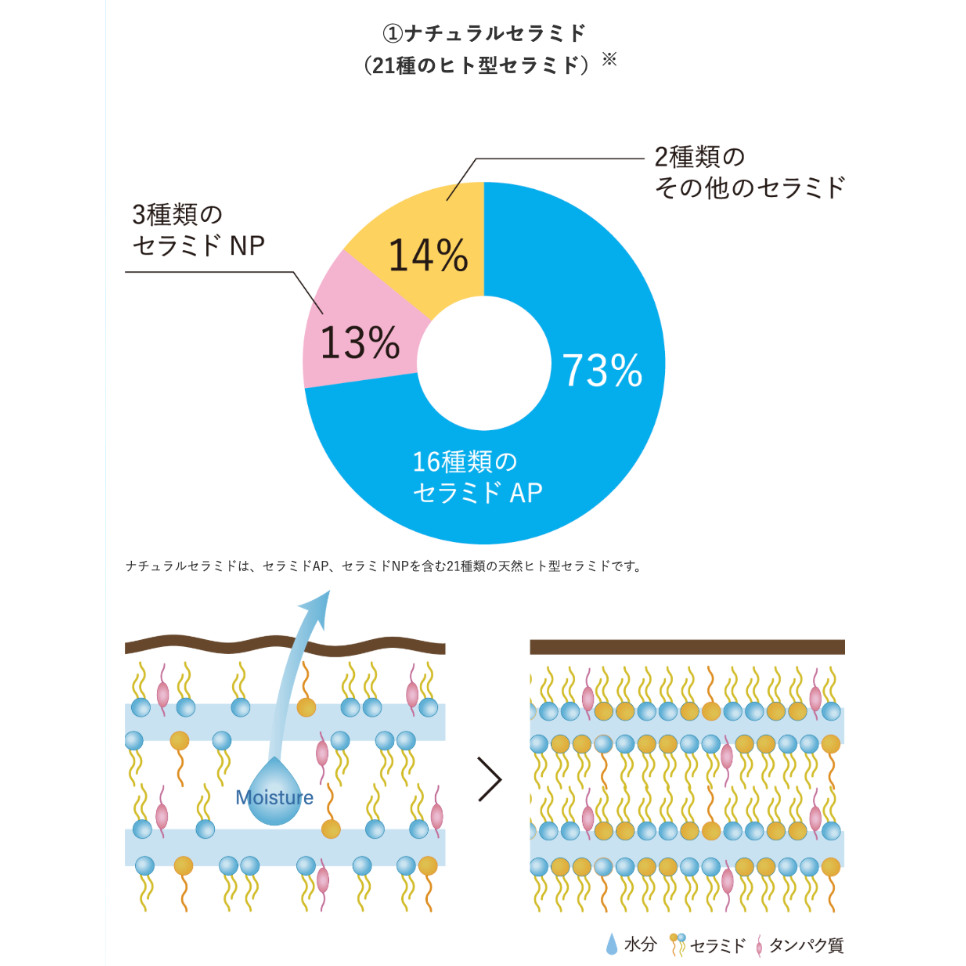 ガルバCMCケアエマルジョン 500g（詰替）【送料無料】 | スパニスト