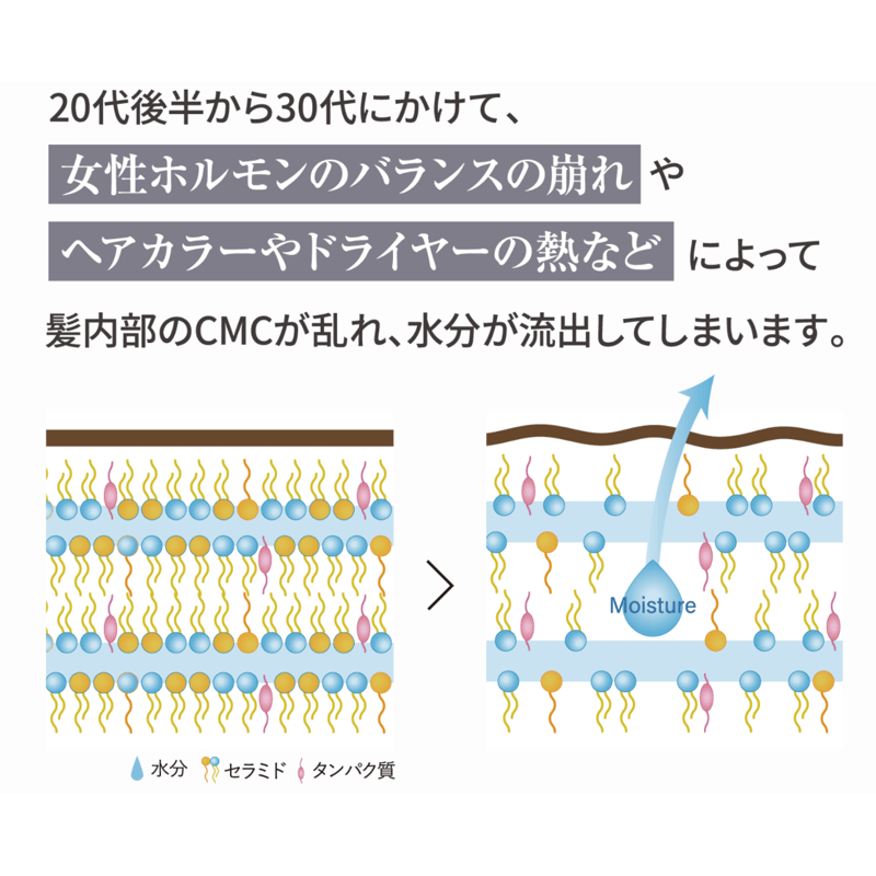 ガルバCMCケアエマルジョン 500g（詰替）【送料無料】 | スパニスト