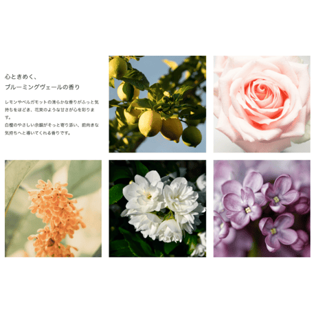 リケラオイル 100mL ［送料無料］
