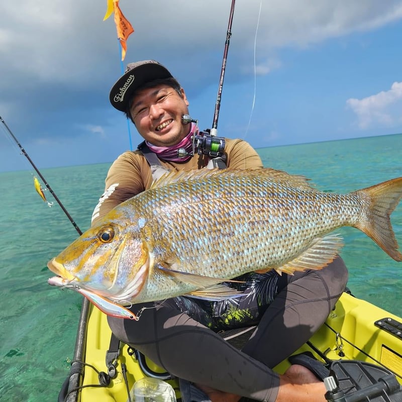 レヴォルーク99S | BLAZEYE OFFICIAL STORE