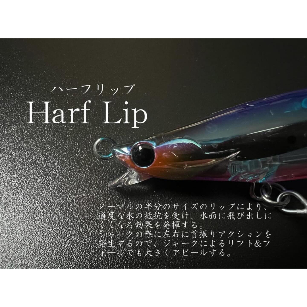 グラヴィティエヴォルーツ120HS | BLAZEYE OFFICIAL STORE