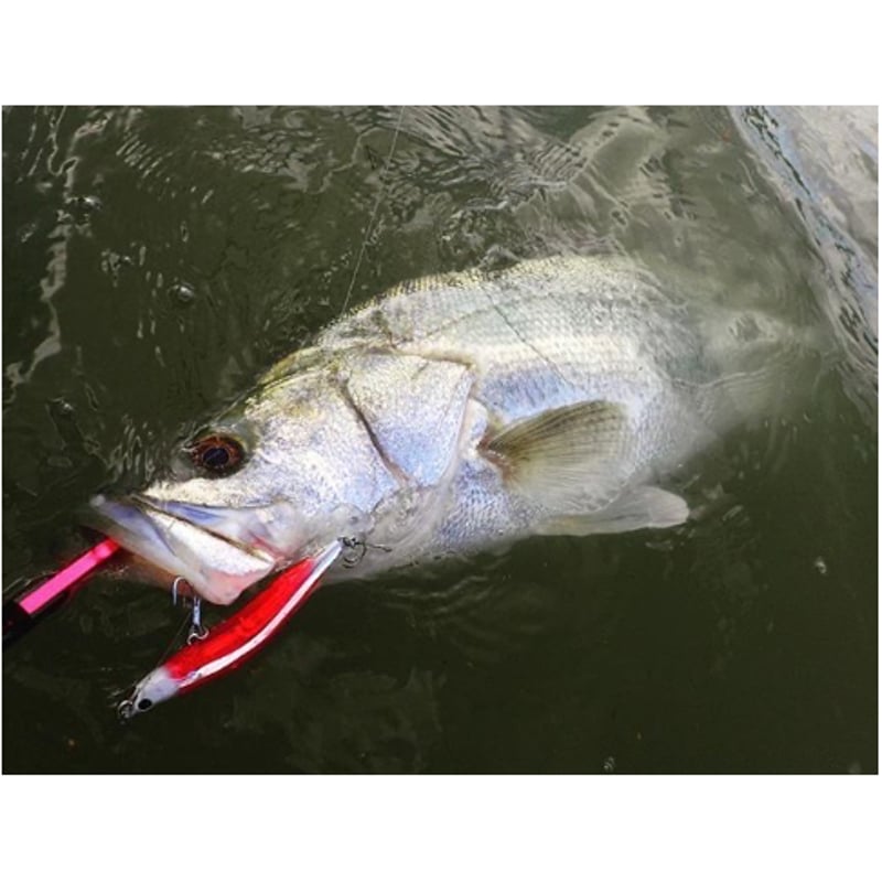 祝10周年】エヴォルーツ120F 【復刻】 | BLAZEYE OFFICIAL STORE