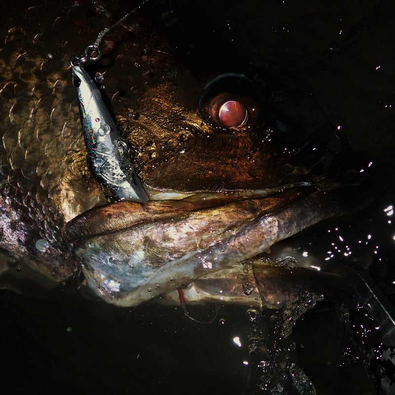 レヴォルーク99S | BLAZEYE OFFICIAL STORE