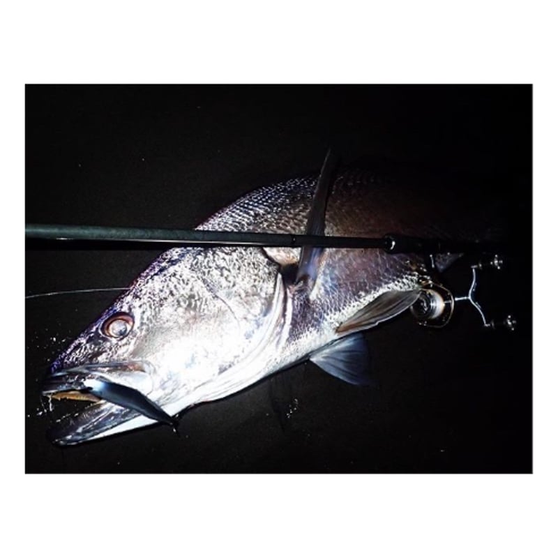 祝10周年】エヴォルーツ120F 【復刻】 | BLAZEYE OFFICIAL STORE