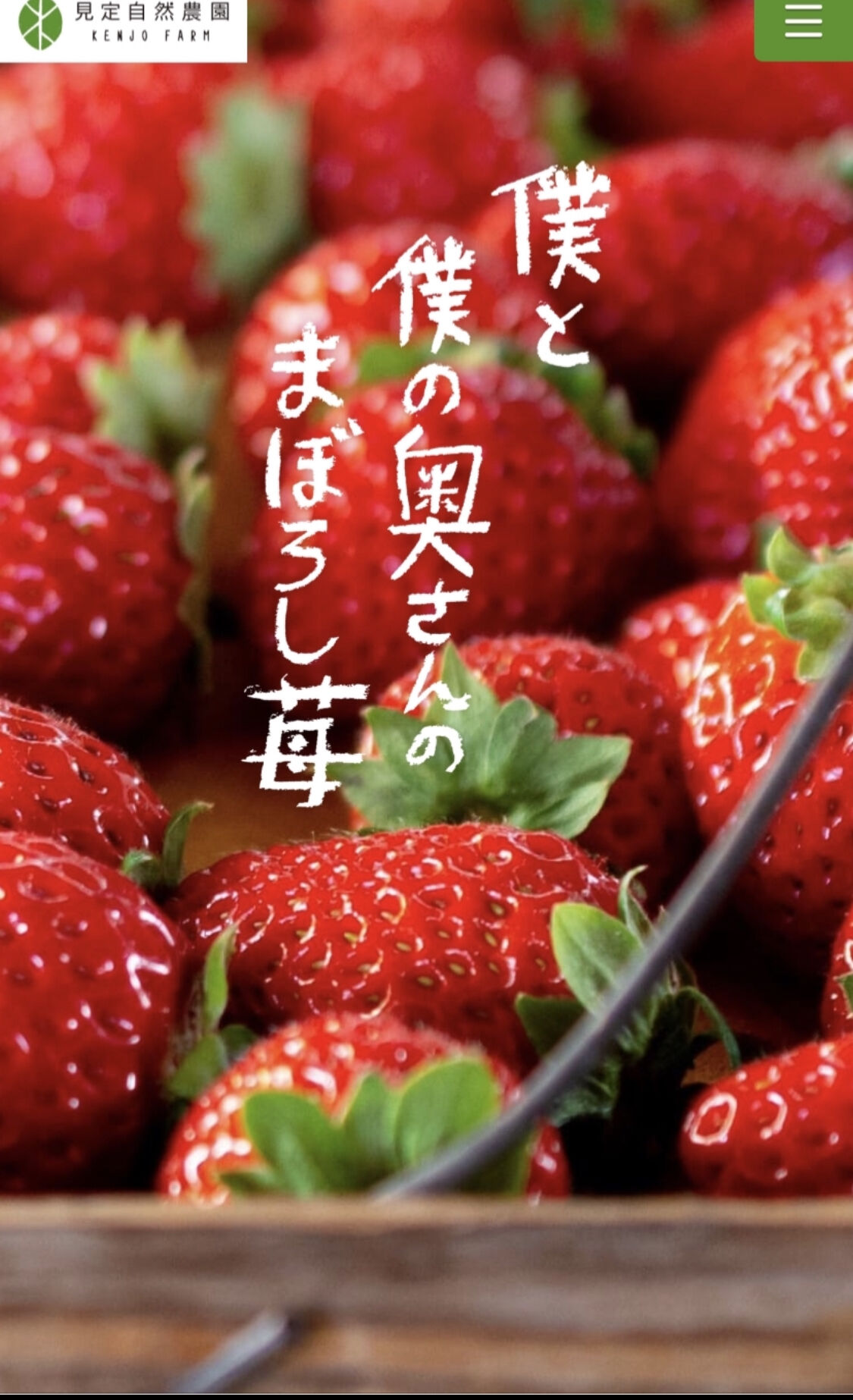 送料無料」和歌山限定品種 まりひめ苺 2パック | kenjonaturalfarm's S