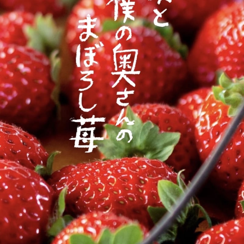 いちご（まりひめ）合計7箱　クール便　まーやん 細尾青果 いちごミルクの素（280g） 和歌山県産オリジナル品種の