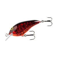 2020年クラシックで大活躍！2人の5位以内入賞で衝撃のデビュー！【ノーマンの最新作 「スピードN  SPEED N」】カラーF135 チリボウル