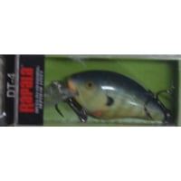 最高傑作カバークランクベイト！とにかく根掛かりしにくい！【世界のラパラのDT4  Rapala DT4】カラーBG
