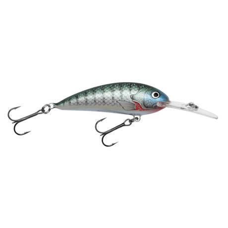 CATEGORY バグリーベイツ | fishingelmo's STORE