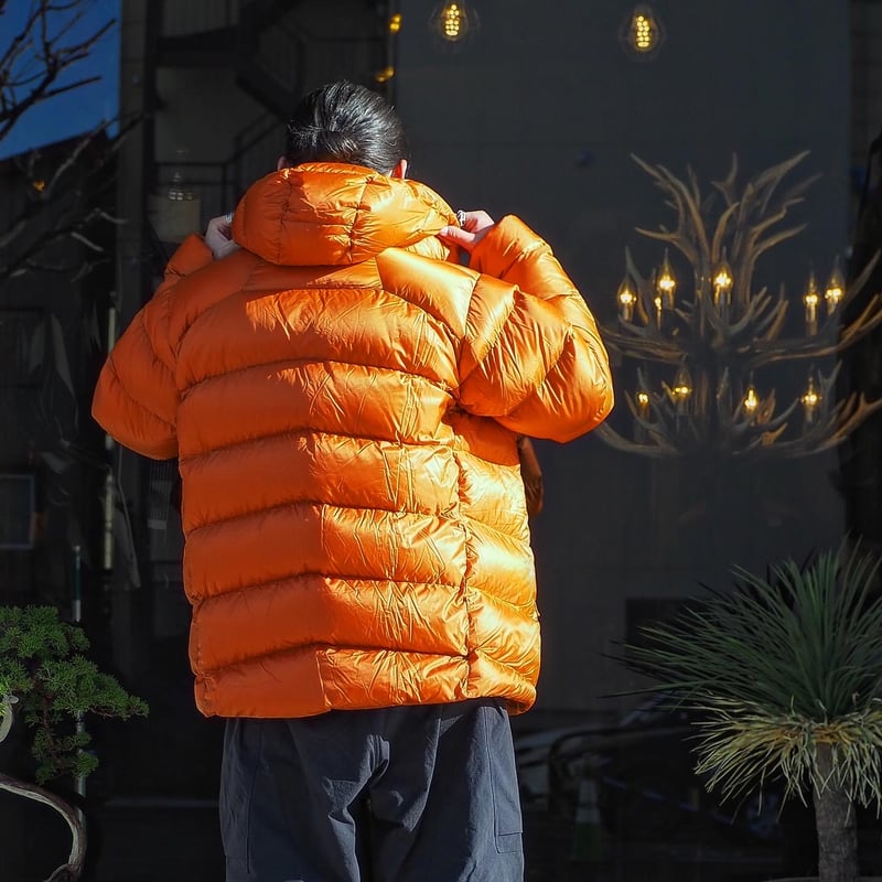 patagonia ダウン フィッツロイ patagonia ／ FITZROY DOWN HOODY | CALIFORNIA HA