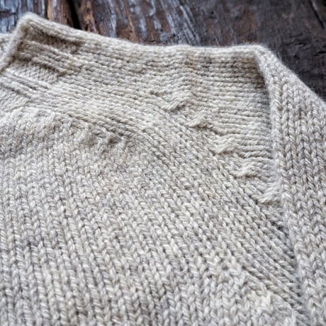 Harley of Scotland / Ecology Yarn Crew Neck Sweater