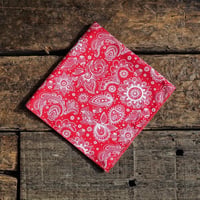 HAV-A-HANK／BANDANA "English＆Prim Paisley"