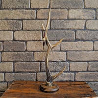 DEER HORN SMITH'S ／ Jewelry Stand "Leather Feather Custom"-Small-