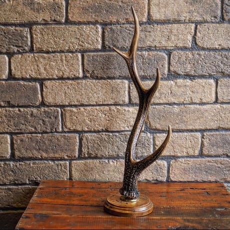 DEER HORN SMITH'S ／ Jewelry Stand -Large-