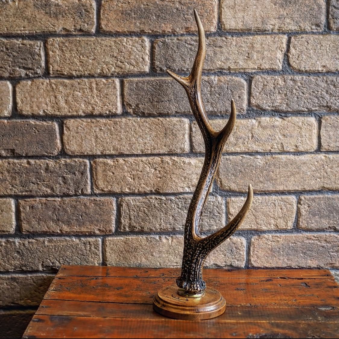 DEER HORN SMITH'S 鹿の角スタンド DEER HORN SMITH'S ／ Jewelry Stand -Small- | CAL