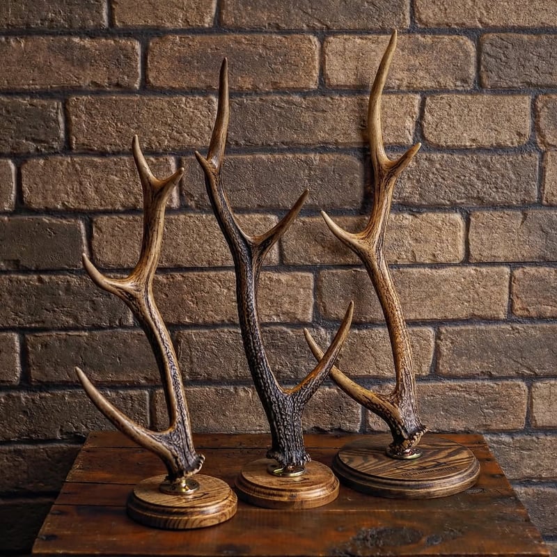 DEER HORN SMITH'S ／ Jewelry Stand -Large- | CAL