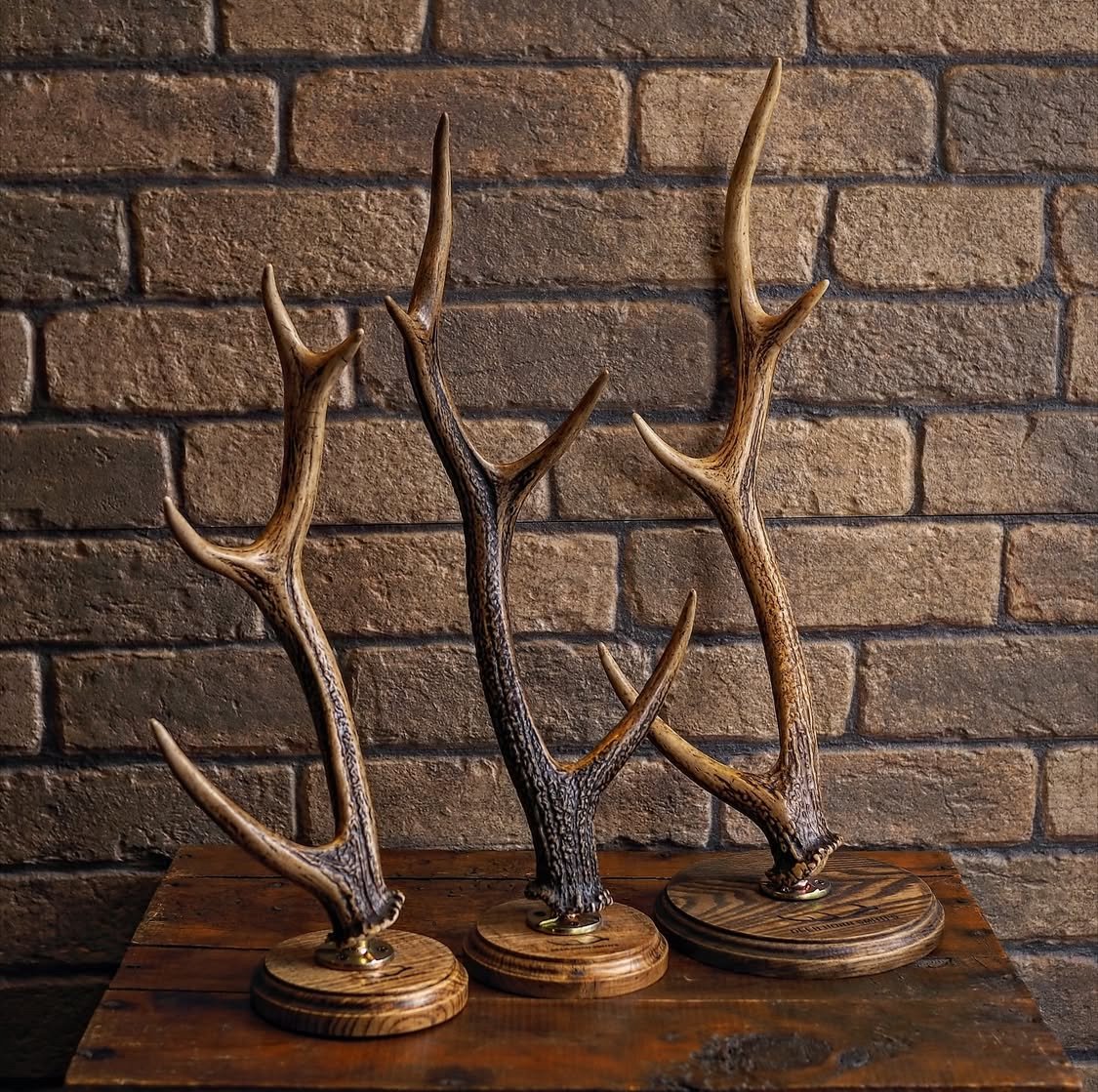 DEER HORN SMITH'S 鹿の角スタンド DEER HORN SMITH'S ／ Jewelry Stand -Large- | CAL