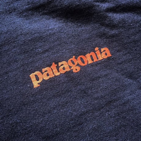 patagonia / ﾃｷｽﾄ ﾛｺﾞ ﾛﾝｸﾞｽﾘｰﾌﾞTEE