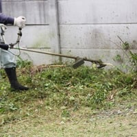 庭の草刈り