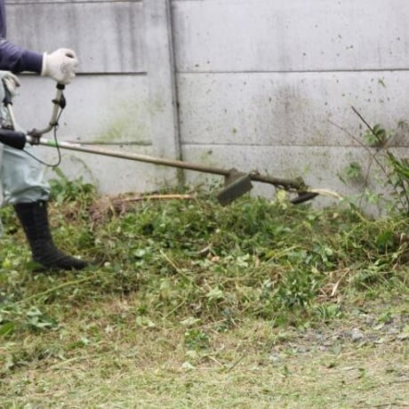 庭の草刈り