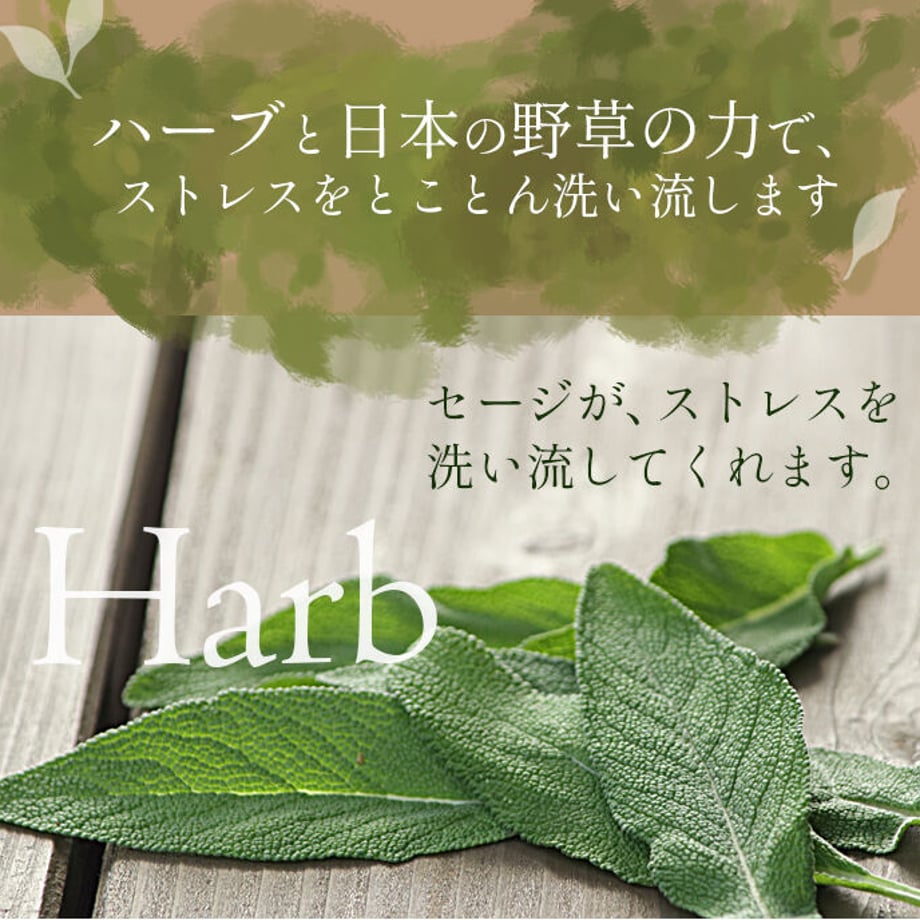 5afbf1325f78665b88000e42