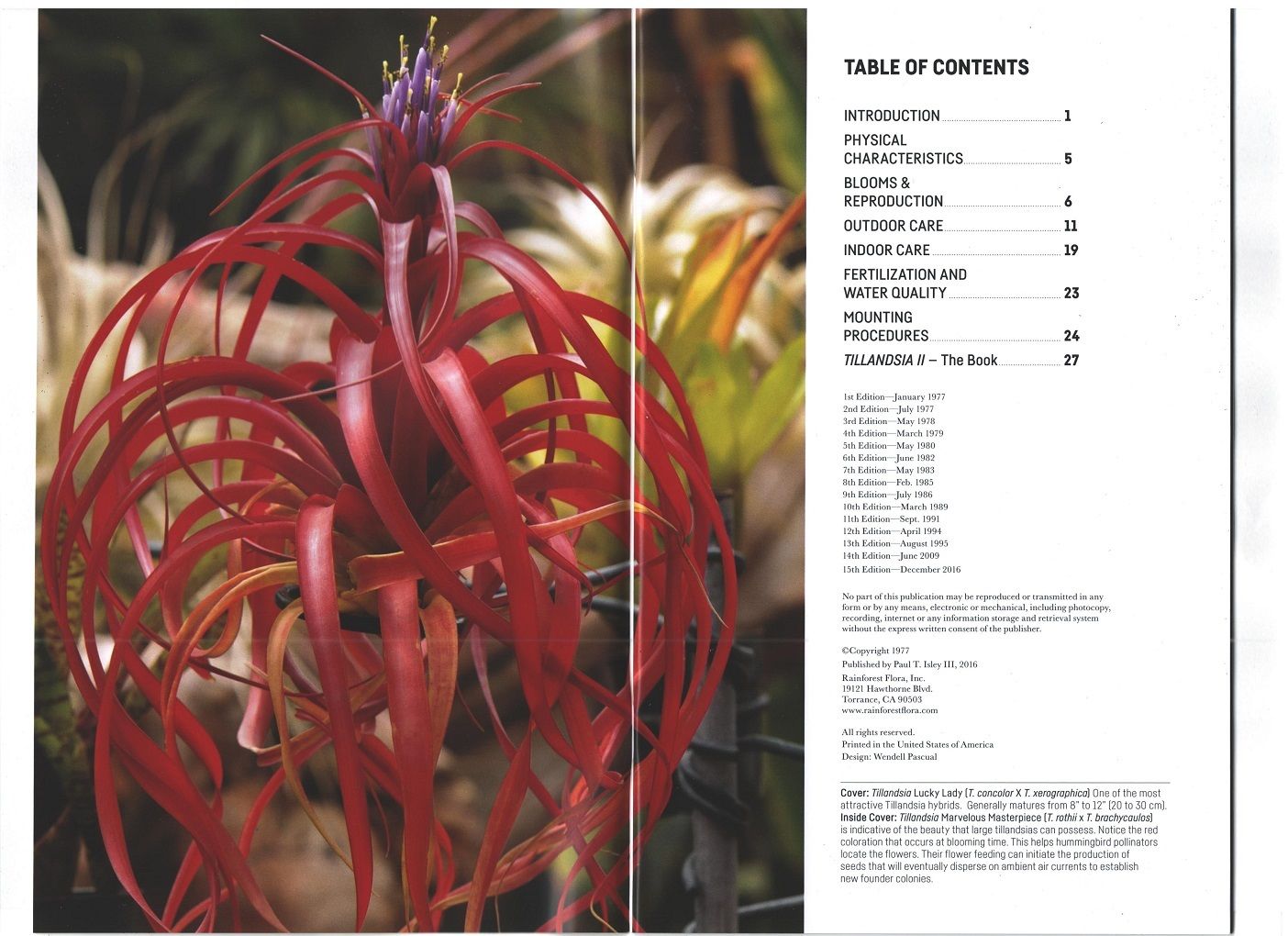 □チランジア書籍／Genus Tillandsia P28 | 常葉植物園 Tokiwa