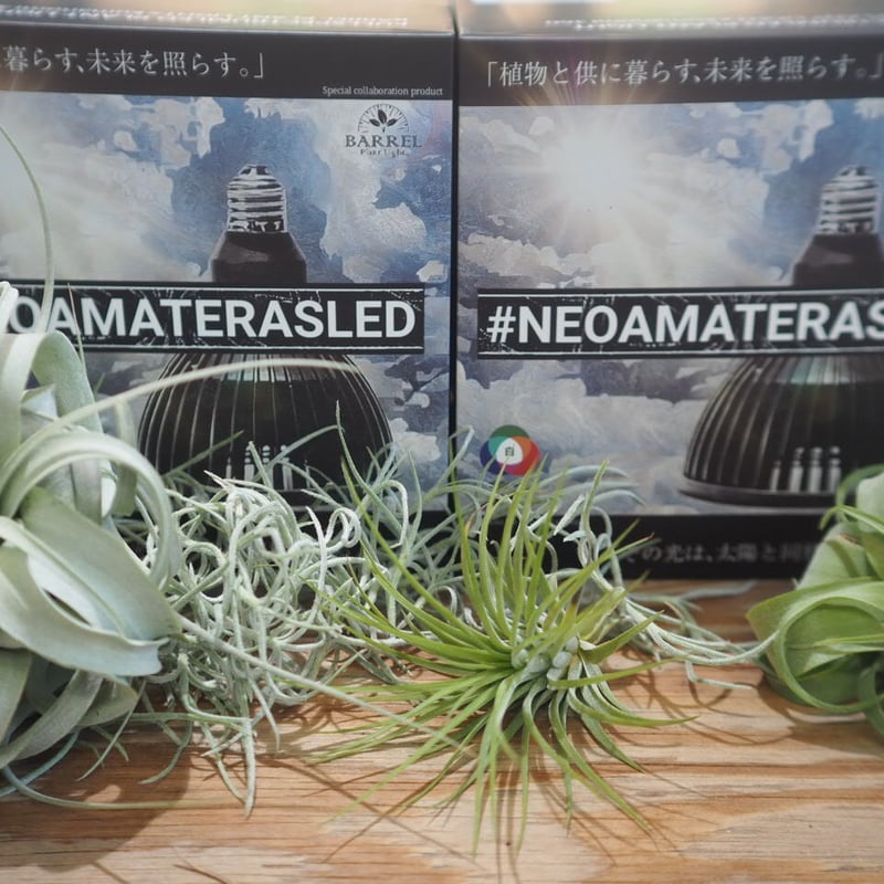 可愛いクリスマスツリーやギフトが! アマテラスLED 20w 2個 魚用品