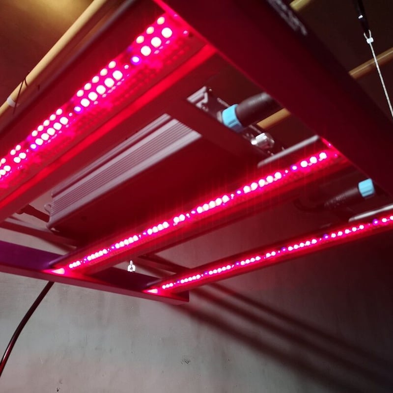 ◇ Helios Green LED シリーズ ／Helios Green LED DOPE（