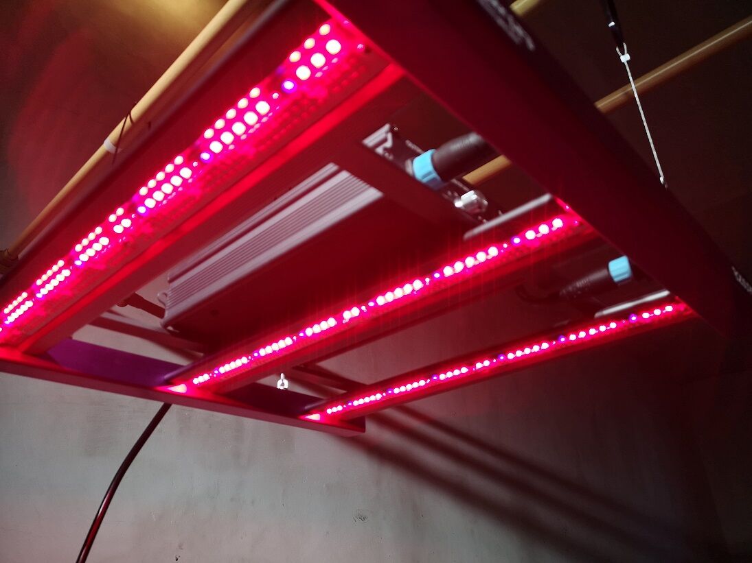 Helios Green LED DOPE（ドープ）_ ヘリオス植物育成ライト 植物育成ライト Helios Green LED DOPE