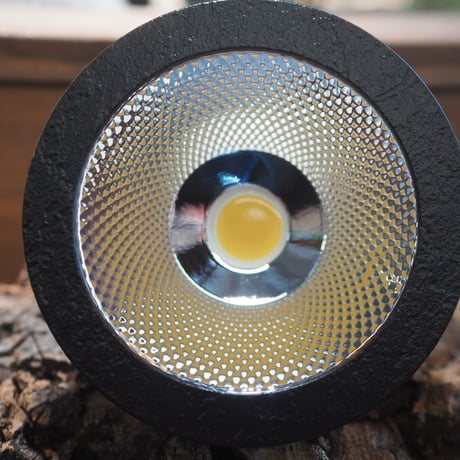 ◆ NEO AMATERAS LED-20W ／ 太陽光に最も近い植物育成ライト × 2個Set  【アマテラス】