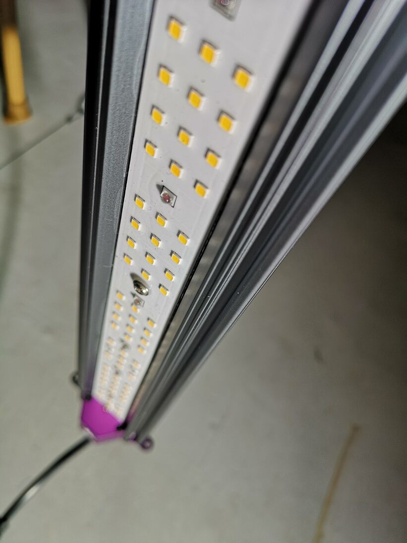 Helios Green LED スペシメン ◇ Helios Green LED シリーズ ／Helios Green LED SPESI
