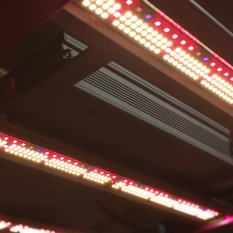 ◆ Helios Green LED シリーズ ／Helios Green LED DOPE（ドープ）