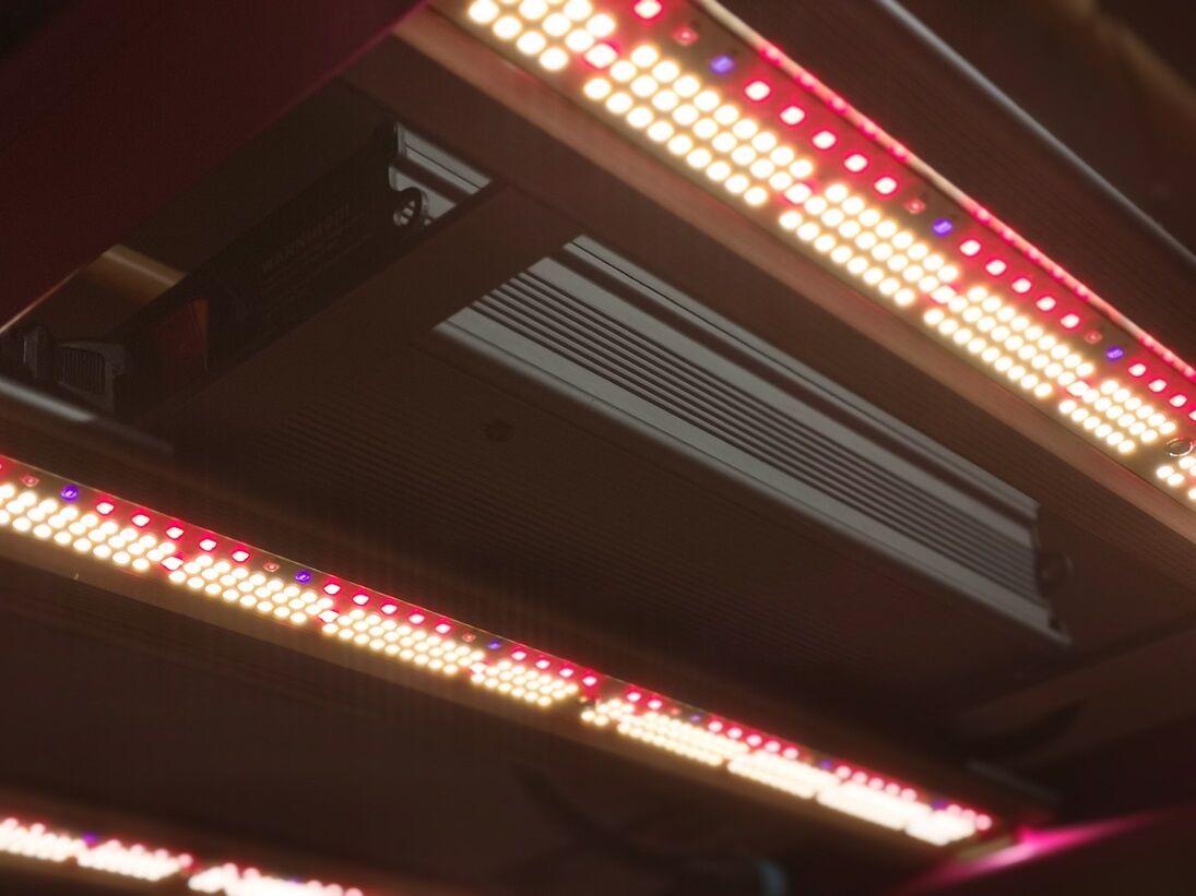 Helios Green LED DOPE（ドープ）_ ヘリオス植物育成ライト fit=scale-down,w=1200