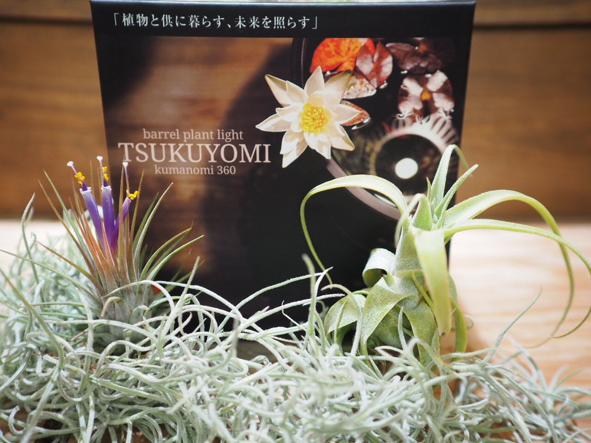 ◇ TSUKUYOMI LED-20W ／ 太陽光に近似の植物育成ライト 【ツクヨミ