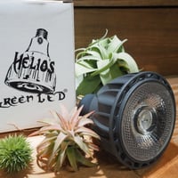 Helios Green LED SPESIMEN ヘリオス スペシメン