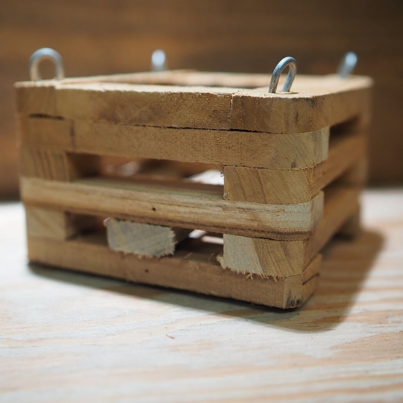 □木製-木枠鉢(四角型) S-10×10㎝ ×2個セット | 常葉植物園 Tokiwa Bot