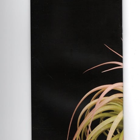 ■チランジア書籍／Genus Tillandsia P28