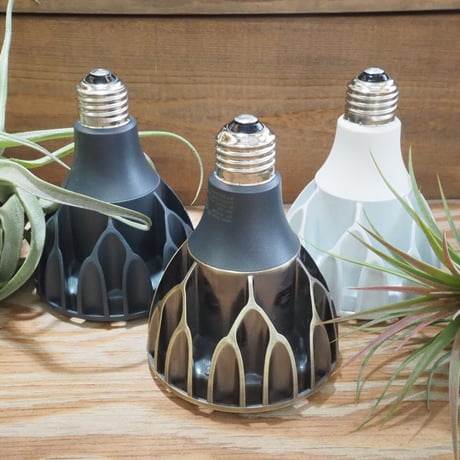 エアプランツ mic STORES エアープランツの検索結果