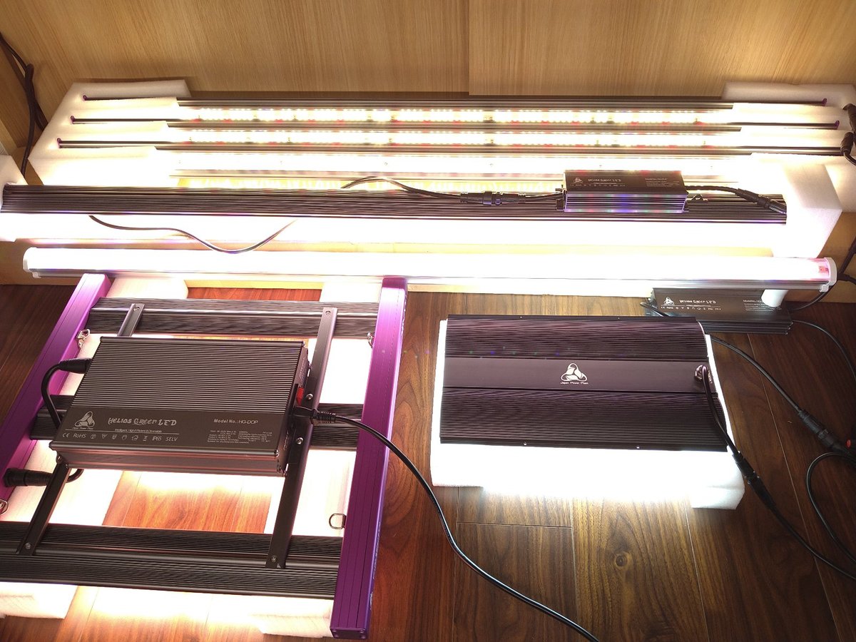 Helios Green LED シリーズ】各種入荷のご案内について | 常葉植物園