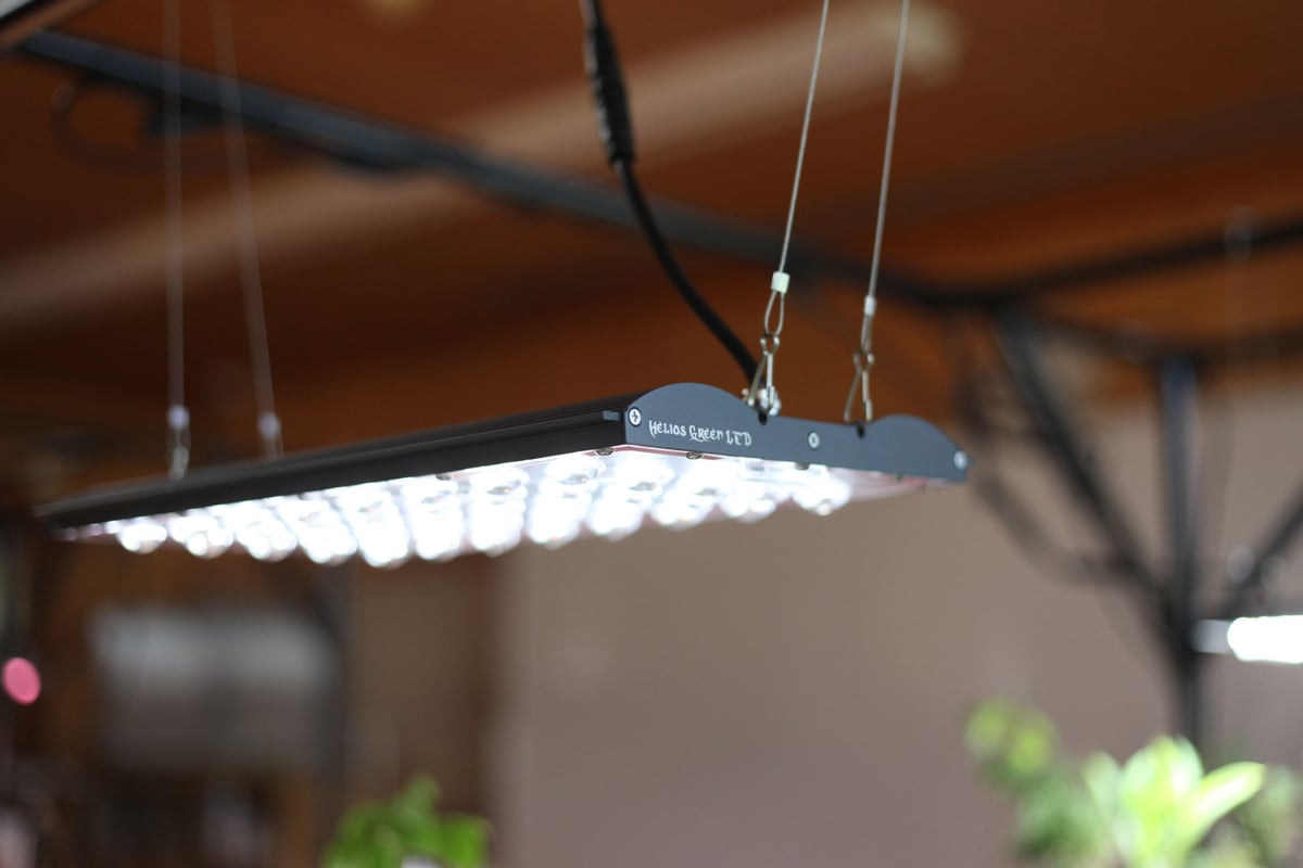 ◇ Helios Green LED PRO Booster 一式セット(101) / 広域照 ◇ Helios Green LED PRO Booster 一式セット(101) / 広域照