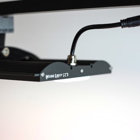 ◆Helios Green LED PRO UV 一式セット ／ 紫外線・近赤外線チップ搭載 【ヘリオス・プロ ＵＶ】