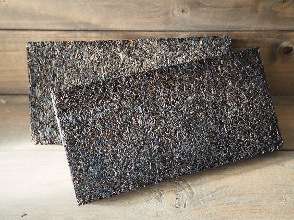 □チランジア着生用プレート (木製) L版 ×1枚 | 常葉植物園