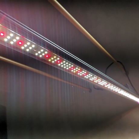 ◆ Helios Green LED シリーズ ／Helios Green LED PUPPY（パピー）