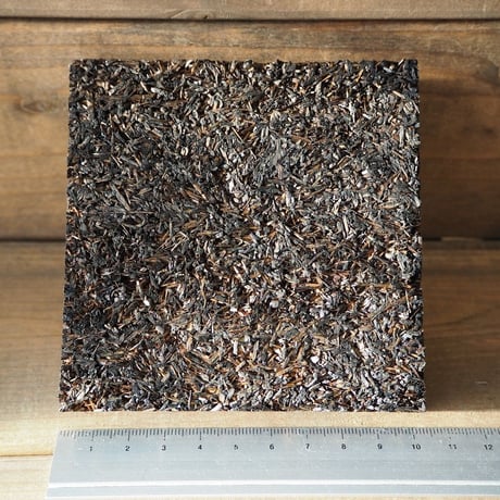 CATEGORY チランジア用資材 | 常葉植物園 Tokiwa Botanical-Gard