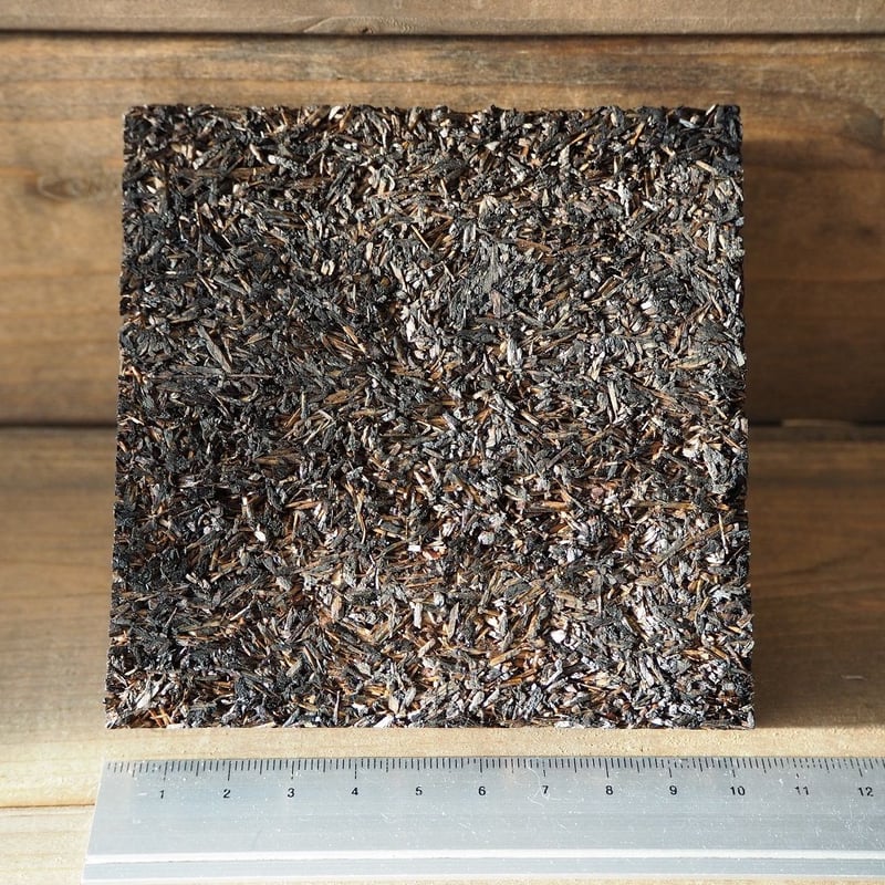 □チランジア着生用プレート (木製) 3枚セット | 常葉植物園