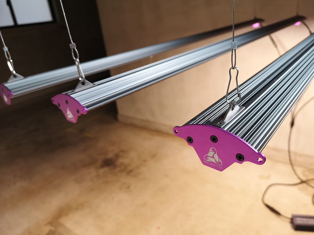 Helios Green LED SPESIMEN ヘリオス スペシメン ◇ Helios Green LED シリーズ ／Helios Green LED SPESI