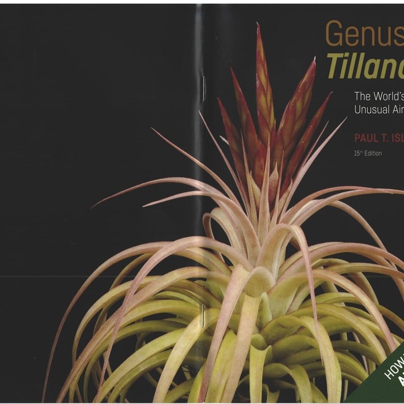 □チランジア書籍/Genus Tillandsia P28 | 常葉植物園 Tokiwa Bo □チランジア書籍/Genus Tillandsia P28 | 常葉植物園 Tokiwa Bo