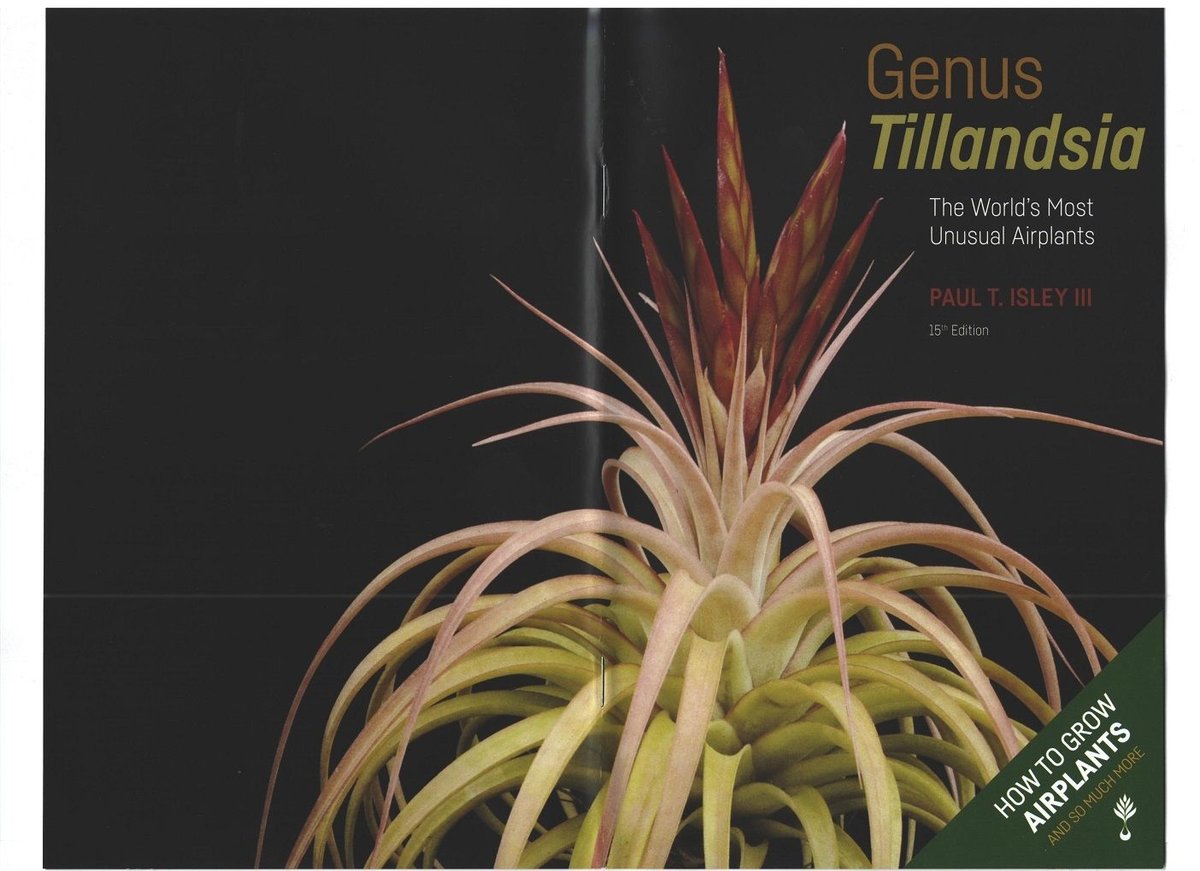 数量は多い | P28 Tillandsia □チランジア書籍/Genus 常葉植物園 Bo Tokiwa ブロメリア・エアープランツ